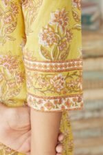 Gulshan Bagh Jiya Sanganeri Kurta - Image 4
